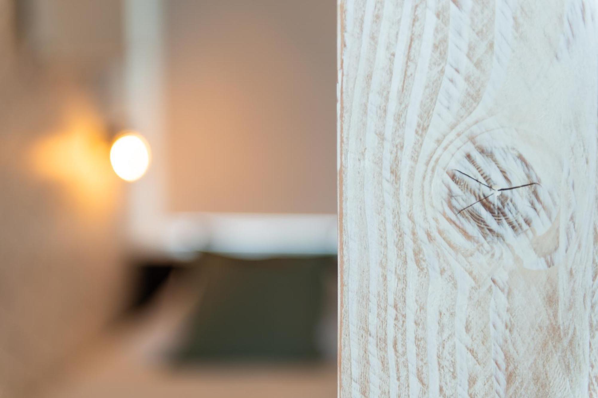 Appartement Zuyd Zandvoort Zewnętrze zdjęcie