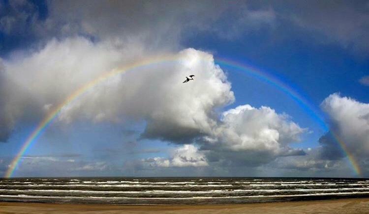 Appartement Zuyd Zandvoort Zewnętrze zdjęcie